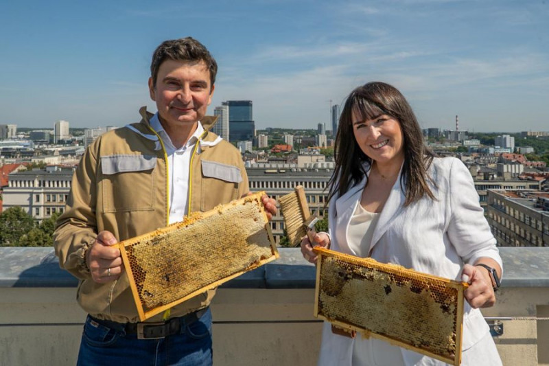Pszczoły Karolinka produkują miód w sercu Katowic